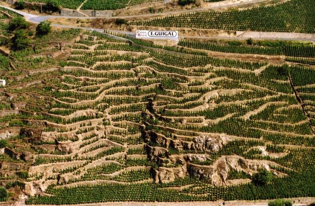 Cult & Boutique Wine Management