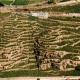 Cult & Boutique Wine Management